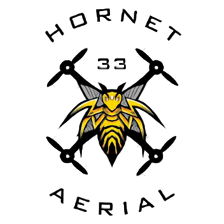 Hornet 33 Aerial logo