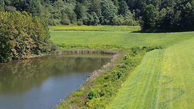 Where a pond meets a mowed field, shot from the air