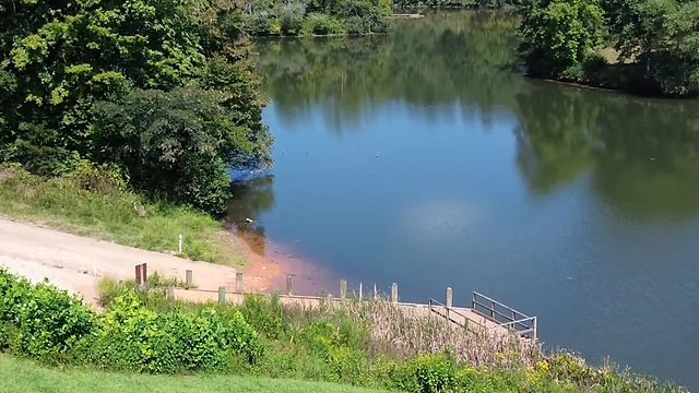 A pond shoreline with a path and railing, shot from the air